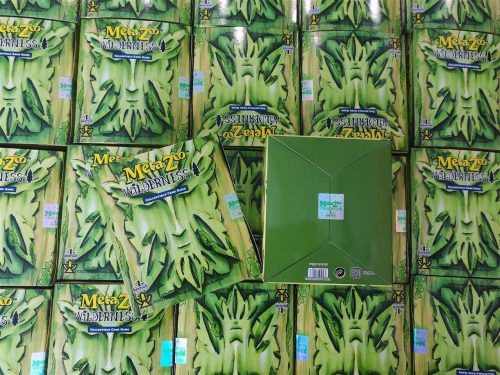 Wilderness Spellbook